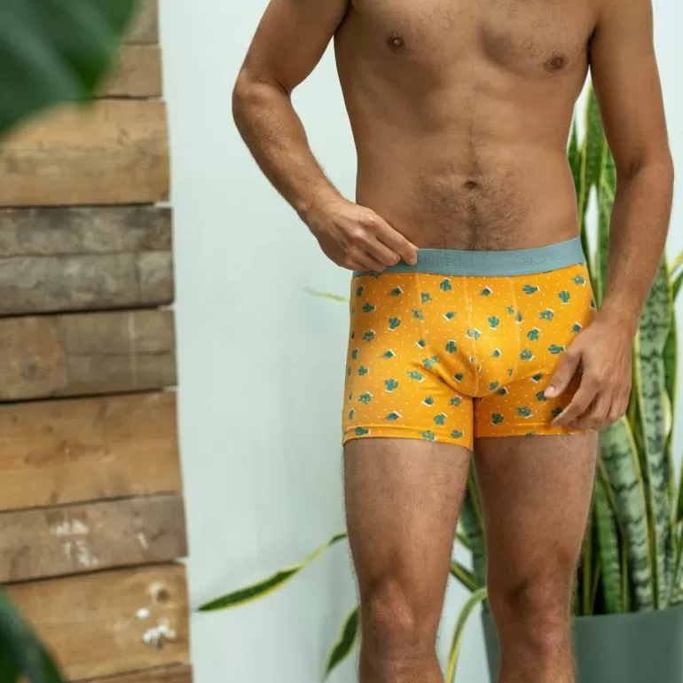 Best Sale Boxer En Coton Biologique Saguaro Boxers En Coton Biologique